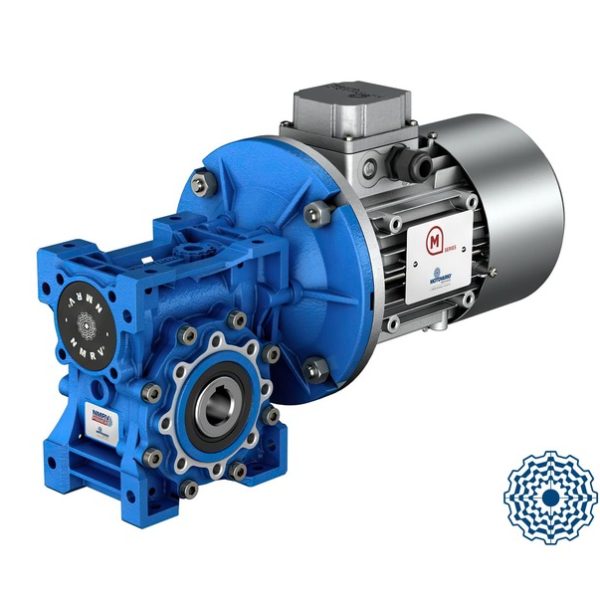 Worm Gear Motor - VSF series