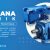 Motovario motor, Motovario gear motor, Motovario gearbox